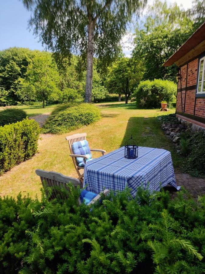 Chalet Forsthof Everstorf - Kleine Wohnung Grevesmuehlen Eksteriør bilde